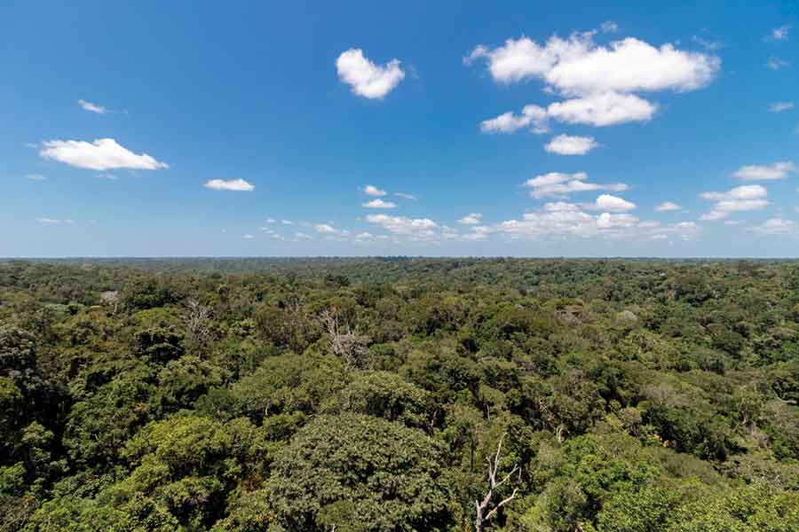 IMAGEM: a fotografia aérea mostra uma grande parte da floresta amazônica sob um céu azul com algumas nuvens. FIM DA IMAGEM.