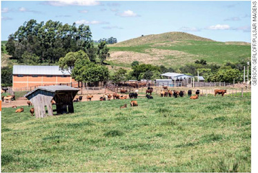 IMAGEM: área rural mostrando diversos animais em um pasto, árvores, cercas, casas e um morro ao fundo. FIM DA IMAGEM.
