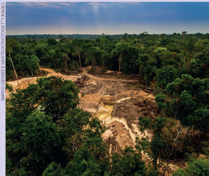 IMAGEM: vista aérea mostrando uma grande área desmatada e com o solo perfurado no meio da floresta amazônica. FIM DA IMAGEM.
