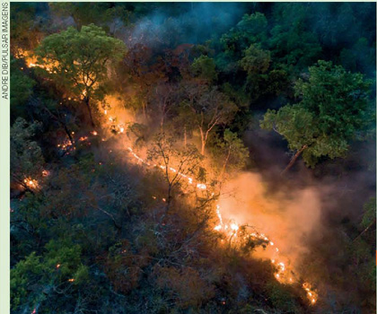 IMAGEM: vista aérea mostrando parte de uma floresta pegando fogo. FIM DA IMAGEM.