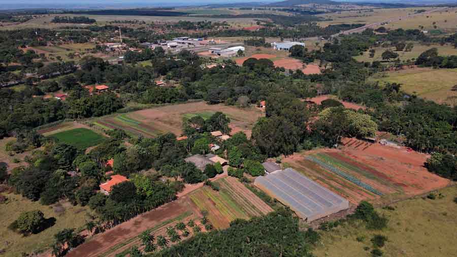 IMAGEM: a fotografia aérea mostra uma área rural em goiás com faixas de plantações entre muitas árvores e algumas construções ao fundo. FIM DA IMAGEM.