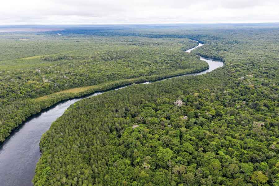 IMAGEM: a fotografia aérea mostra um grande trecho da floresta amazônica serpenteado por um rio. FIM DA IMAGEM.