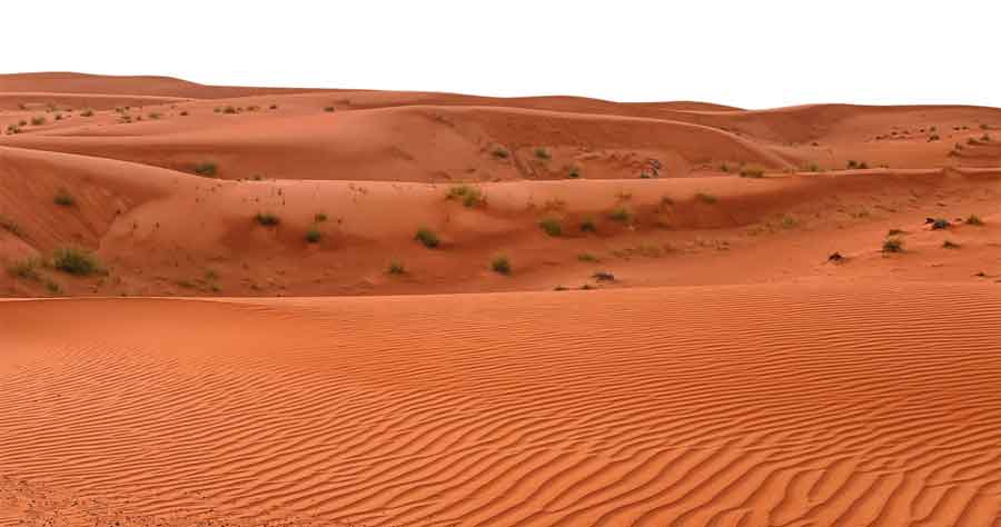 IMAGEM: deserto com dunas de areia e algumas vegetações rasteiras espalhadas. FIM DA IMAGEM.