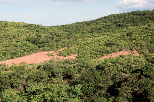 IMAGEM: Vegetação de Caatinga no período de chuvas. A fotografia mostra a paisagem anterior, mas com as árvores e a vegetação cheias de folhas e como predomínio da cor verde. FIM DA IMAGEM.