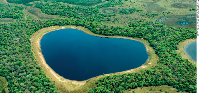 IMAGEM: vista aérea de uma lagoa com uma faixa de areia no entorno em uma área de mata com trechos alagados. FIM DA IMAGEM.