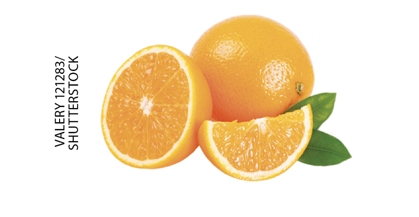 IMAGEM: 4. laranjas. FIM DA IMAGEM.