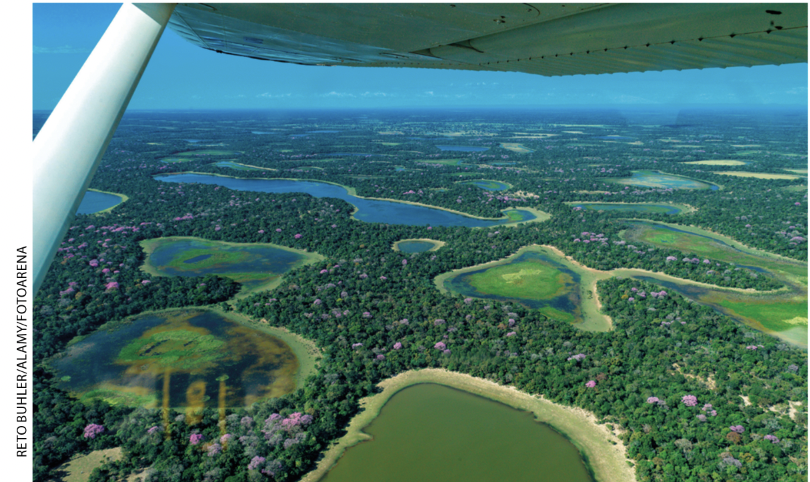IMAGEM: fotografia aérea de um terreno plano com muita vegetação, rios e lagoas. FIM DA IMAGEM.