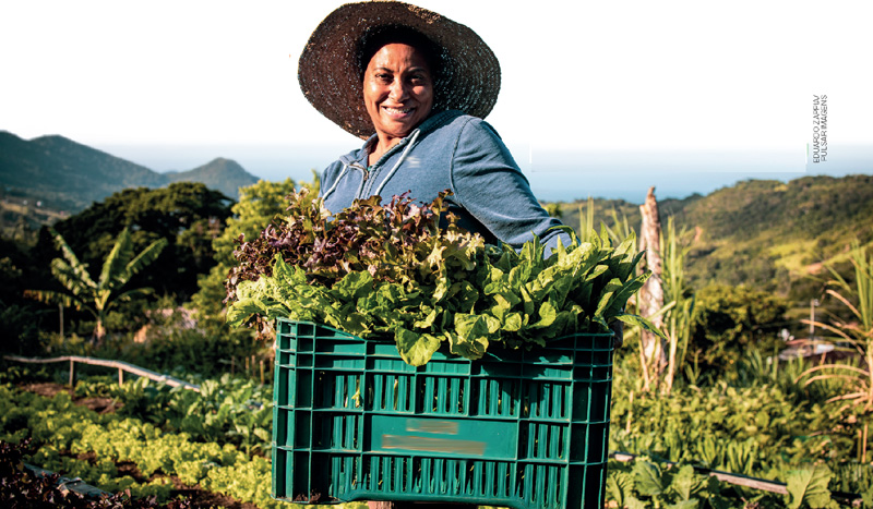 IMAGEM: uma agricultora carrega a frente uma caixa plástica com grande variedade de verduras. FIM DA IMAGEM.