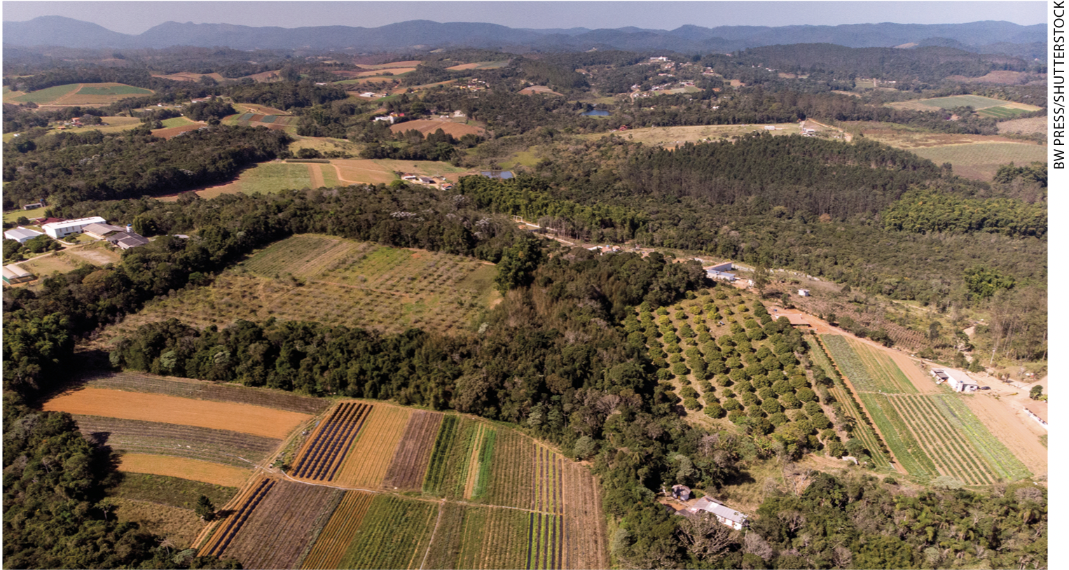 IMAGEM: a. fotografia de um trecho de terra com plantações alinhadas, área arborizada, estradas de terra e poucas construções. FIM DA IMAGEM.