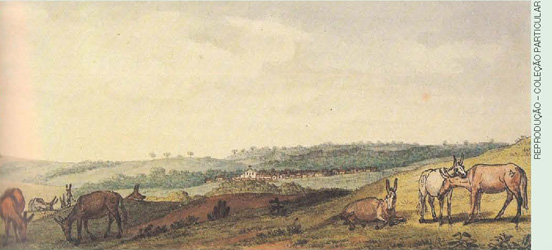 IMAGEM: a pintura lapa ilustra uma paisagem campestre, montanhas, cavalos e asnos. ao fundo, uma pequena construção. FIM DA IMAGEM.