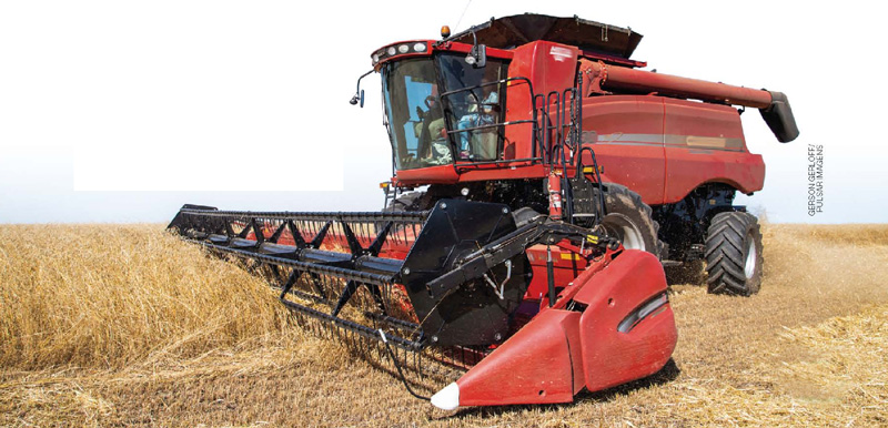 IMAGEM: uma máquina agrícola colhe trigo em uma lavoura. FIM DA IMAGEM.