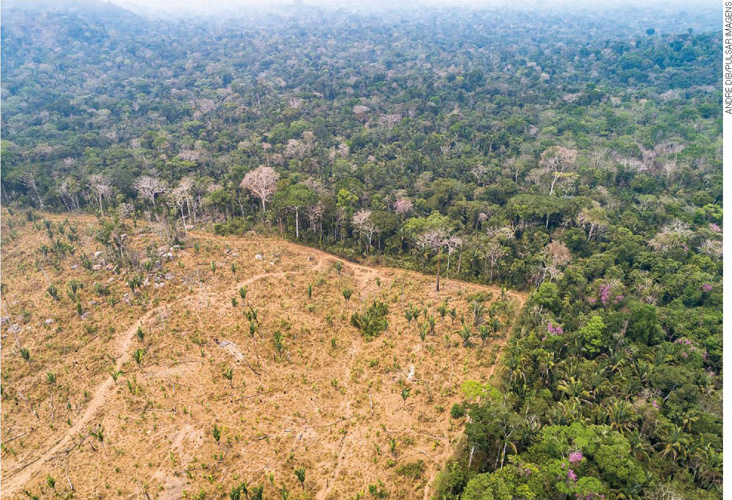 IMAGEM: vista aérea da floresta amazônica com grande área desmatada. FIM DA IMAGEM.