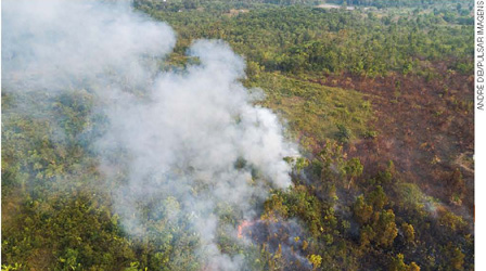 IMAGEM: uma queimada na floresta amazônica, com área devastada, fumaça e chamas. FIM DA IMAGEM.