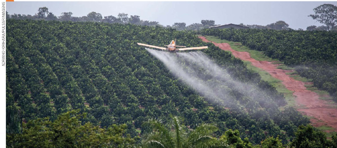 IMAGEM: vista aérea de um avião pulverizando agrotóxico em uma plantação. FIM DA IMAGEM.