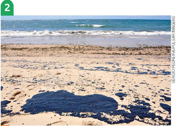 IMAGEM: 2. beira de praia com muitas manchas de óleo na areia. FIM DA IMAGEM.