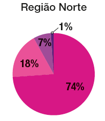 IMAGEM: um gráfico circular informa a composição da população da região norte brasileira a partir da cor da pele. 74 por cento da população dessa região é parda, 18 por cento, branca, 7 por cento da população é preta e 1 por cento indígena ou amarela. FIM DA IMAGEM.
