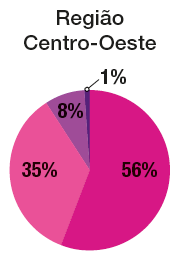 IMAGEM: um gráfico circular mostra a composição da população da região centro-oeste brasileira a partir da cor da pele. 56 por cento da população da região centro-oeste é parda, 35 por cento é branca, 8 por cento da população é preta e 1 por cento amarela ou indígena. FIM DA IMAGEM.