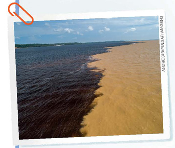 IMAGEM: encontro das águas do rio negro e do rio solimões. FIM DA IMAGEM.