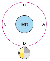 IMAGEM: círculo que representa a lua está ao lado da marcação d, no esquema da sua trajetória ao redor da terra. FIM DA IMAGEM.