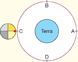 IMAGEM: círculo que representa a lua está ao lado da marcação c, no esquema da sua trajetória ao redor da terra. FIM DA IMAGEM.