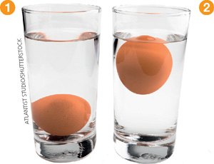 IMAGEM: dois copos cheios de água, com um ovo cru em cada. no copo indicado com o número 1, o ovo está no fundo, enquanto no número 2, o ovo está flutuando. FIM DA IMAGEM.