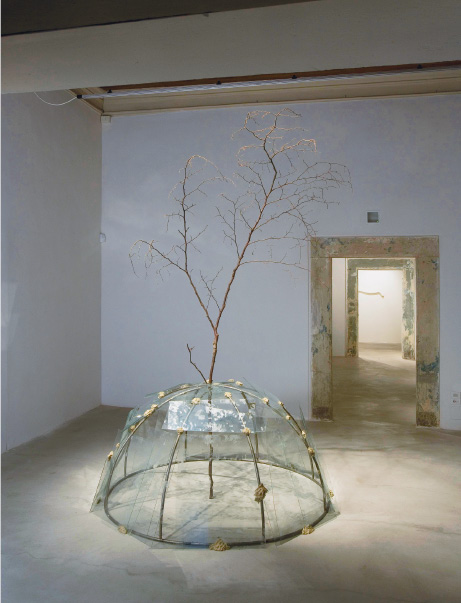 Imagem: Fotografia. Estrutura arredondada coberta com plástico transparente. No centro há uma árvore fina e seca.  Fim da imagem.