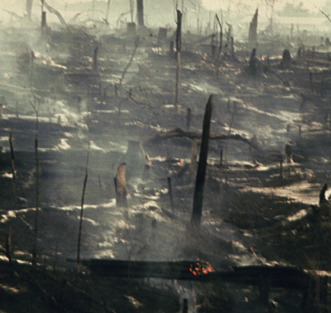 Imagem: Fotografia. Terreno queimado com tocos de árvores pretos e fumaça em volta.  Fim da imagem.