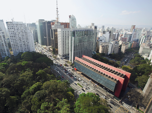 Imagem: Fotografia. Vista aérea de árvores ao lado de uma avenida. Do outro lado, o Masp e mais prédios. Fim da imagem.