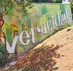 Imagem: Fotografia. Um muro pintado de verde. No centro, a palavra “VERACIDADE”. Fim da imagem.