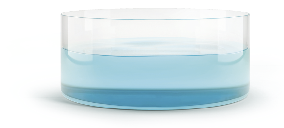 Imagem: Ilustração. Vasilha de vidro com água no interior.  Fim da imagem.