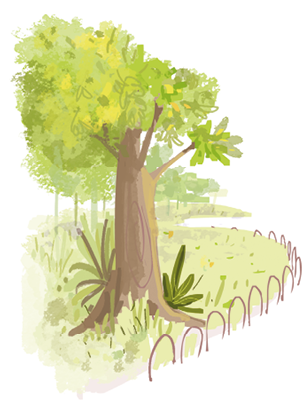 Imagem: Ilustração. Árvore com folhas pequenas e cheia de folhas em um gramado com muro de ferro formando arcos. Fim da imagem.