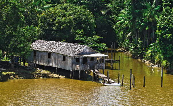 Imagem: Uma fotografia de uma casa em beira do rio com uma passarela até uma canoa atracada, ao redor há mata fechada. Fim da imagem.