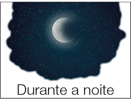 Imagem: Ilustração. Quadro com lua e estrelas sobre o céu escuro. Fim da imagem.