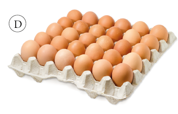 Imagem: Fotografia. D. Caixa de papelão com 30 ovos. Fim da imagem.