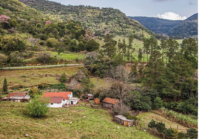 Imagem: Uma fotografia em um morro com árvores e vegetação e casinhas pequenas. Fim da imagem.