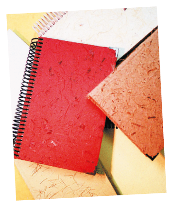 Imagem: Fotografia. Cadernos e blocos de papéis coloridos. Fim da imagem.