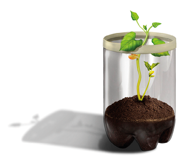Imagem: Ilustração. Parte inferior de uma garrafa com terra e planta crescendo no interior. Fim da imagem.