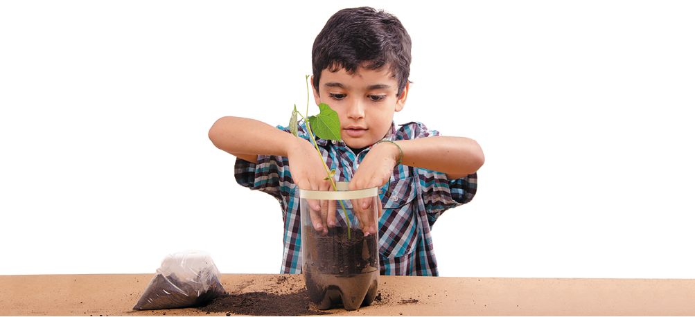 Imagem: Fotografia. Menino de cabelo curto preto, vestindo camiseta xadrez. Está plantando uma planta sobre a parte inferior de uma garrafa. Fim da imagem.