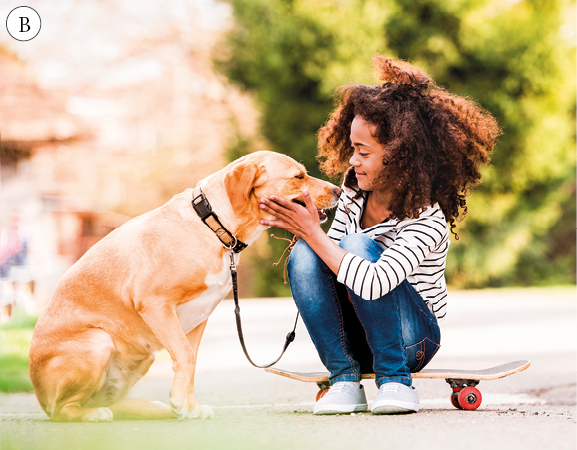 Imagem: Fotografia. B: Menina de cabelo longo cacheado castanho, veste camiseta branca com listras pretas e calça azul. Está sentada em um skate, passando a mão sobre um cachorro caramelo com uma coleira amarrada. Fim da imagem.