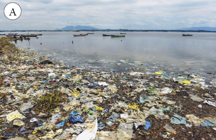 Imagem: Fotografia. A: Vista de areia à beira do mar coberta por lixo de resíduos indevidos entulhados pela areia e beira do mar.  Fim da imagem.