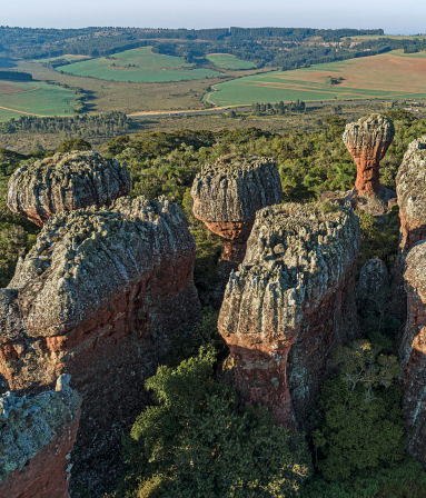 Imagem: Fotografia. Vista aérea de flores com vegetação densa e rochas formando torres separadas por entre as vegetações. Fim da imagem.