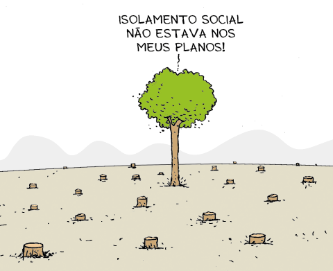 Imagem: Ilustração. Vista de campo com árvores cortadas sobrando apenas a base. No centro da terra, apenas uma árvore em pé com um balão de fala dizendo “isolamento social não estava nos meus planos!”. Fim da imagem.