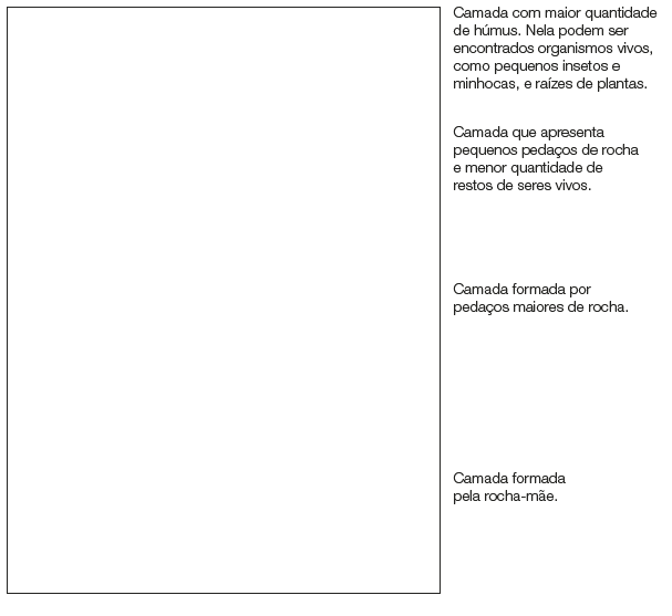 Imagem: Ilustração. Quatro partes de um solo com camadas diferentes. Camada com maior quantidade de húmus. Nela podem ser encontrados organismos vivos, como pequenos insetos e minhocas, e raízes de plantas. Seguido por: Camada que apresenta pequenos pedaços de rocha e menor quantidade de restos de seres vivos. Outra camada formada por pedaços maiores de rocha. Por fim, Camada formada pela rocha-mãe. Fim da imagem.