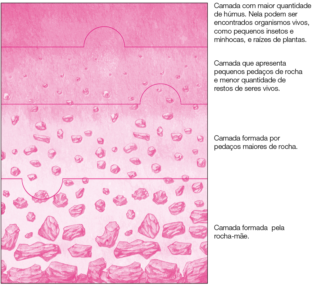 Imagem: Ilustração. Quatro partes de um solo com camadas diferentes. Inicia por camada lisa: Camada com maior quantidade de húmus. Nela podem ser encontrados organismos vivos, como pequenos insetos e minhocas, e raízes de plantas. Seguido por camadas com pedras bem pequenas: Camada que apresenta pequenos pedaços de rocha e menor quantidade de restos de seres vivos. Outra camada com pedras pequenas: Camada formada por pedaços maiores de rocha. Por fim, solos com pedras grandes: Camada formada pela rocha-mãe. Fim da imagem.