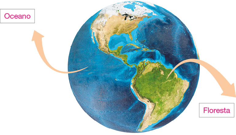 Imagem: Ilustração. Globo terrestre com setas saindo de área verde da terra e seta da área azul do mapa. Resposta: áreas verdes: floresta; áreas azuis: oceano. Fim da imagem.