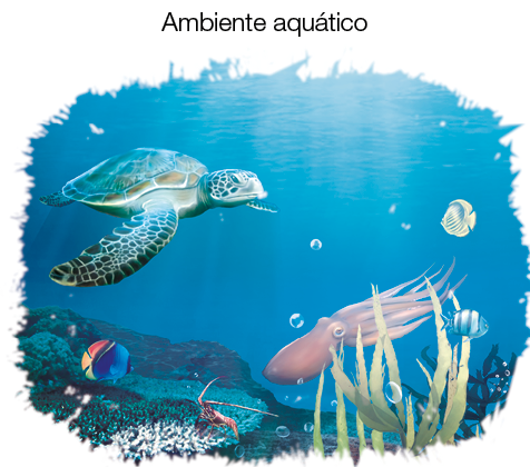 Imagem: Ilustração. Fundo do mar com peixe, polvo e uma tartaruga. Fim da imagem.