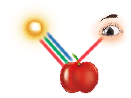 Imagem: Ilustração. Sol liberando faixas de luz vermelha, verde e azul que vão até uma maçã e reflete apenas a faixa vermelha em direção a um olho destacado. Fim da imagem.
