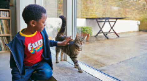 Imagem: Fotografia. Menino de cabelo curto preto, vestindo camiseta vermelha e casaco azul. Está passando a mão em um gato. Fim da imagem.