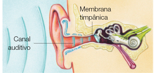 Imagem: Ilustração. Orelha indicando o canal auditivo recebendo ondas até membrana timpânica. Fim da imagem.