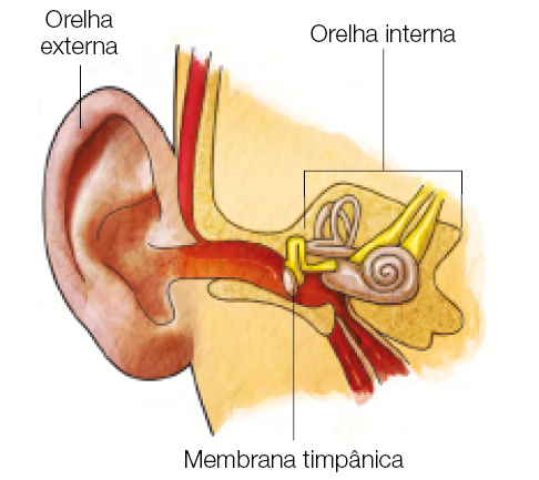 Imagem: Ilustração. Destaque de orelha com canal da orelha externada e membrana timpânica. Fim da imagem.